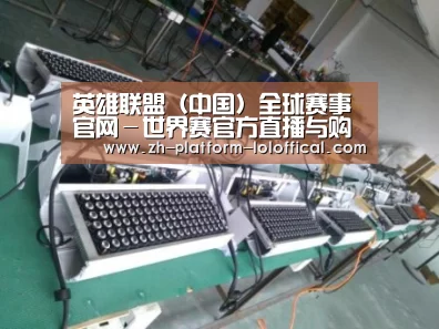 LOL世界赛官网案例展示一