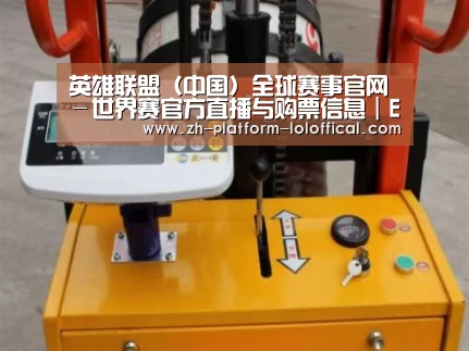 LOL世界赛官网案例展示三