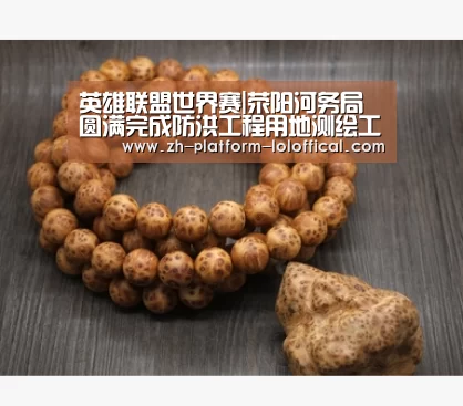 英雄联盟世界赛|荥阳河务局圆满完成防洪工程用地测绘工作(图2) LOL世界赛官网